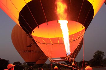 Golden Eagle - Premium Boutique