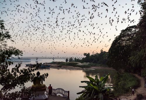 Myanmar Culture Tour