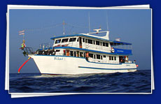 Sea Horse by Asia Whale